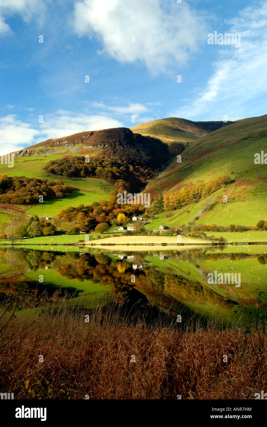 Tal y llyn Snowdonia Stock Photo - Alamy