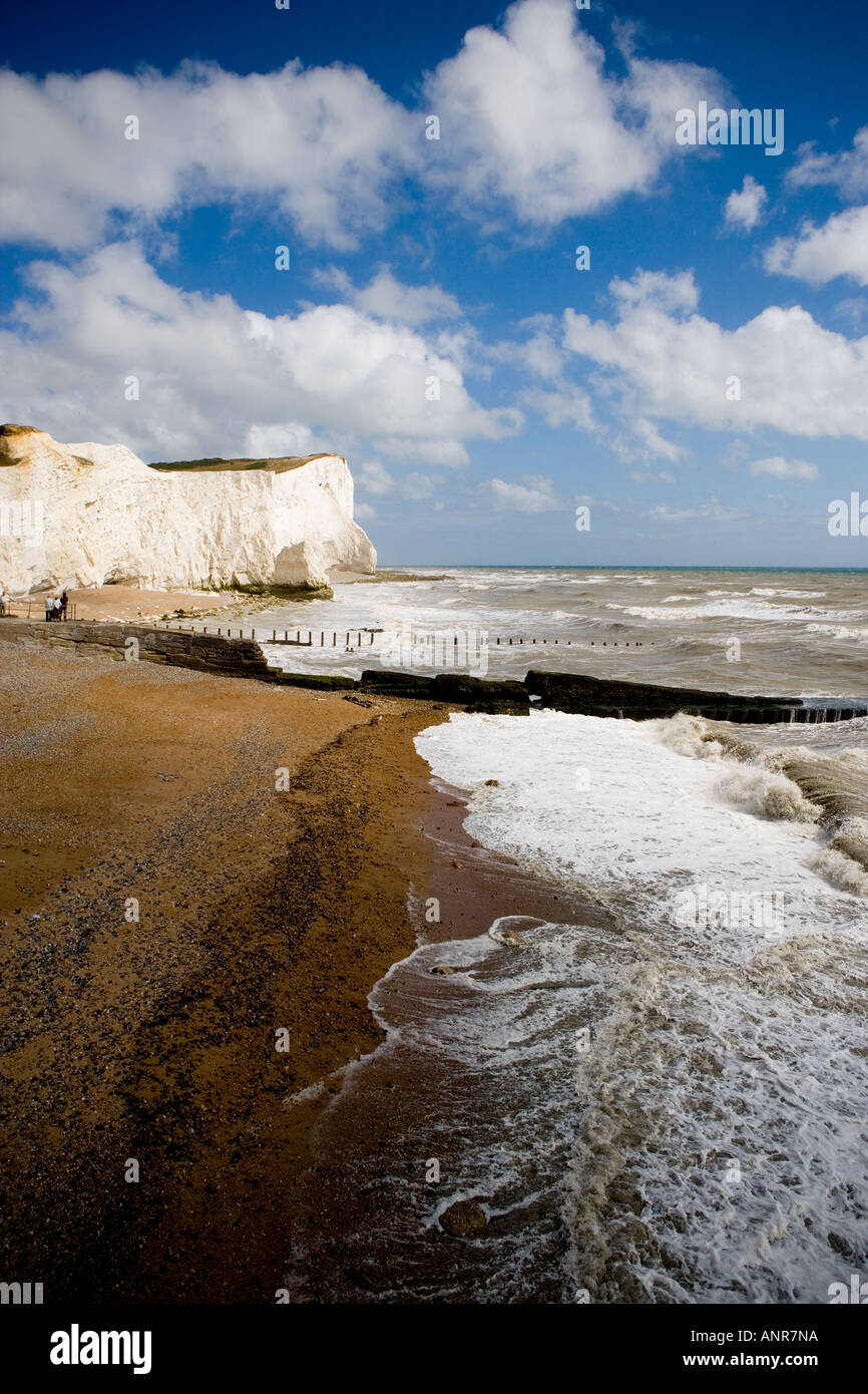 COMMON NAME Chalk cliffs LATIN NAME Stock Photo Alamy