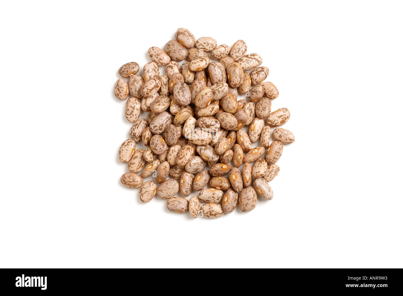 Dried Pinto Beans on white background Stock Photo