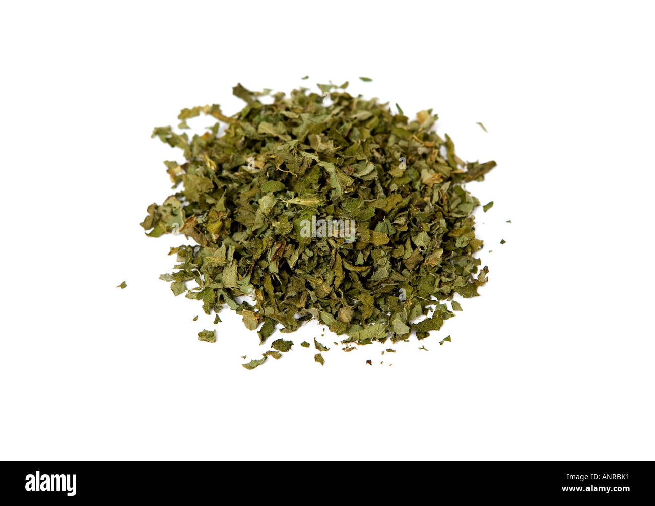 Common name Comfrey Latin name Symphytum officinale Stock Photo Alamy