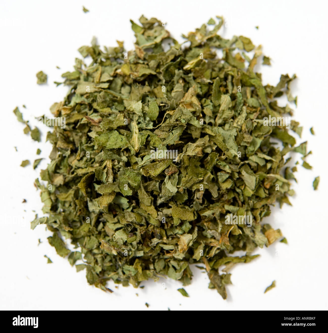 Common name Comfrey Latin name Symphytum officinale Stock Photo Alamy