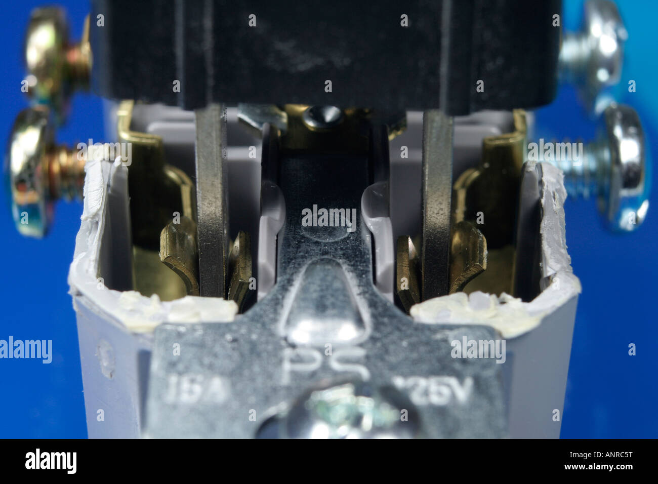 Electrical socket internal connections North American standard Stock