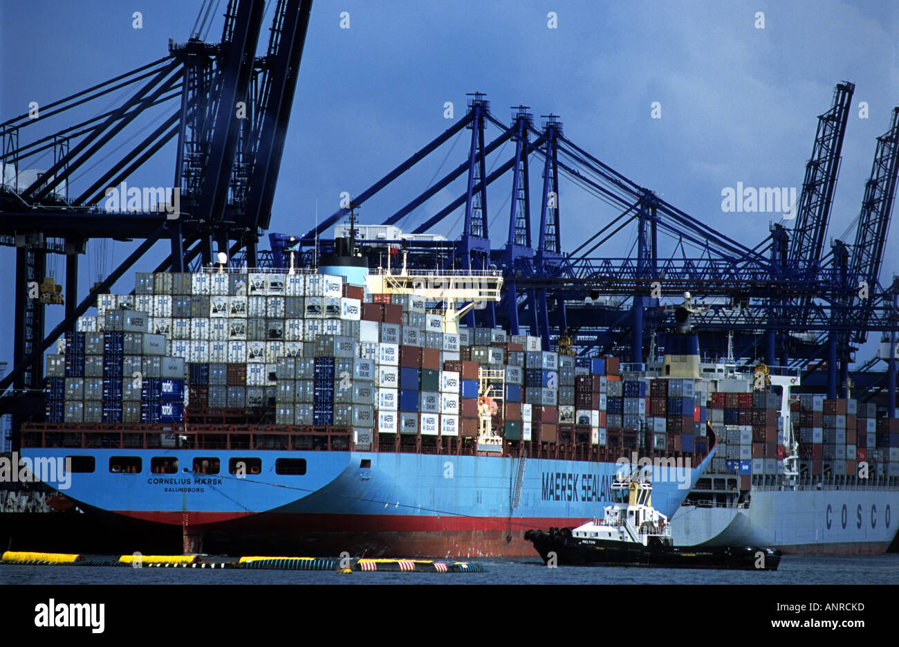 Trinity container terminal at the Port of Felixstowe, Britain's largest container port. Stock Photo