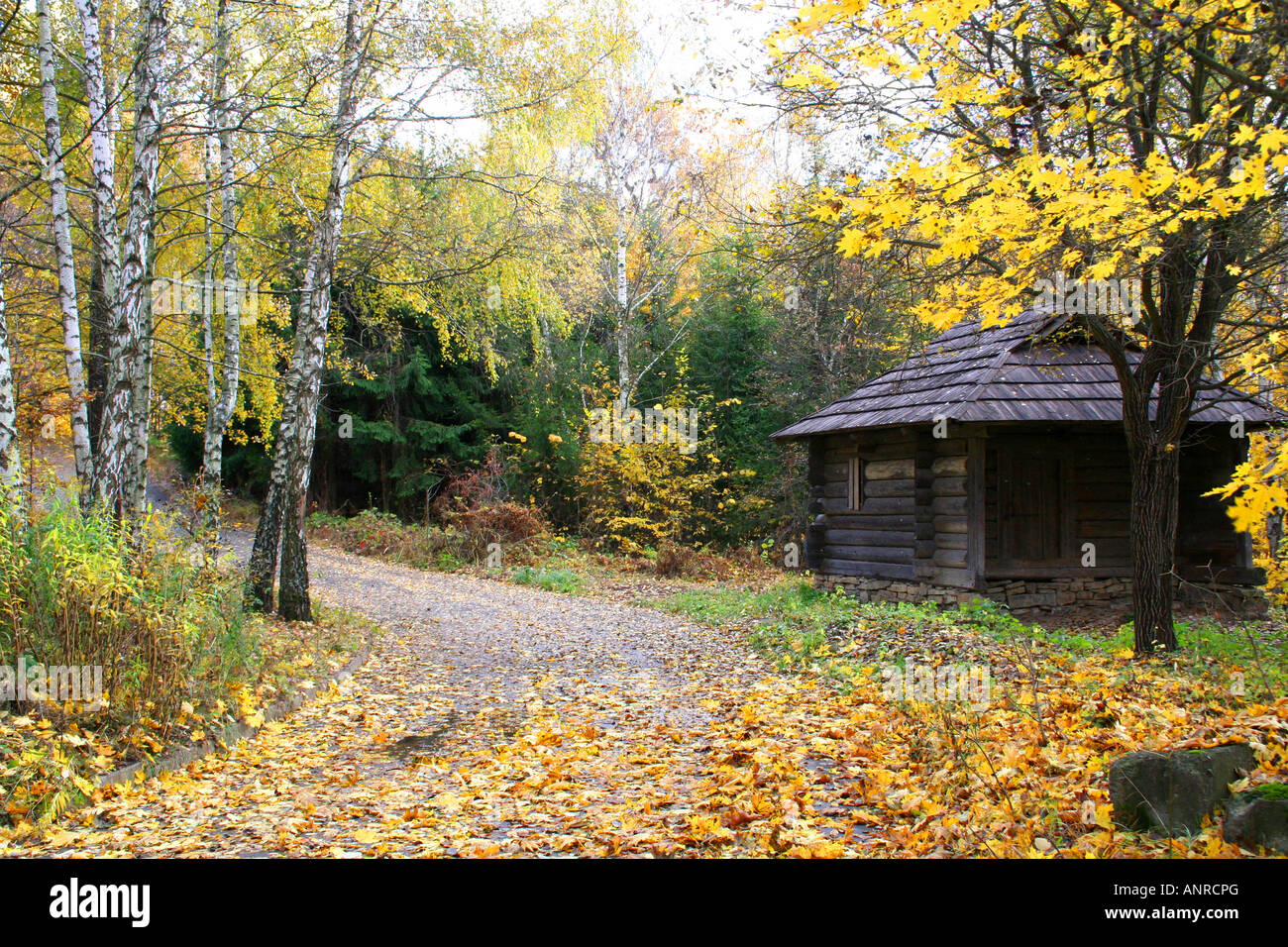 House in a forest Autumn Landscape beautiful vivid nature Stock Photo ...