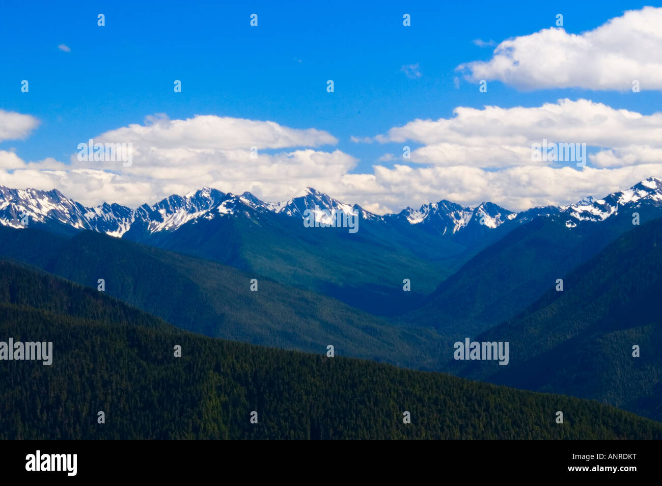 Hurricane Ridge Skyline Stock Photo - Alamy