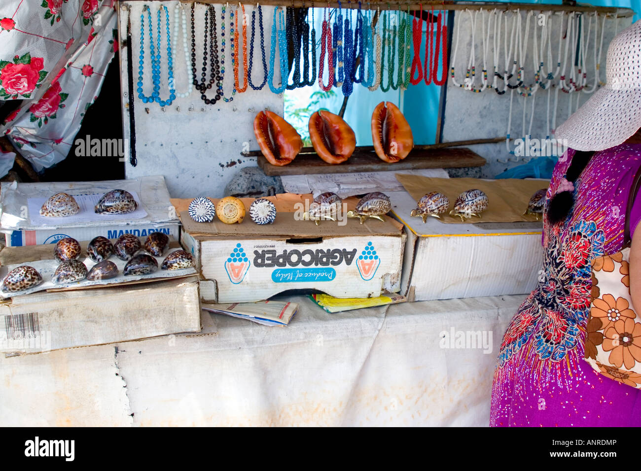 a local craft boutique displaying crafts made from sea shells, Mauritius Stock Photo