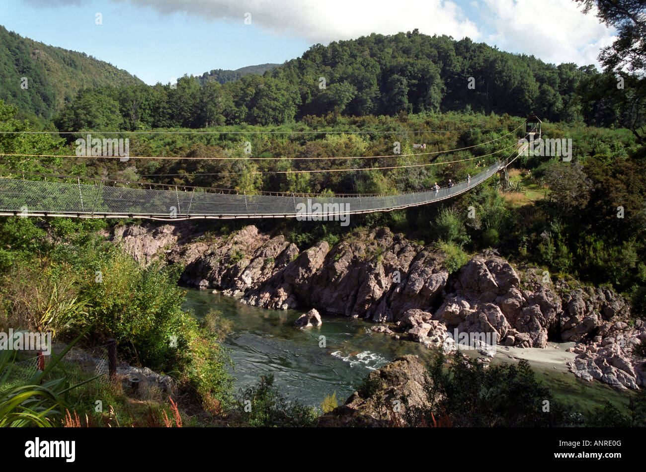 Buller Gorge Swingbridge South Island New Zealand Stock