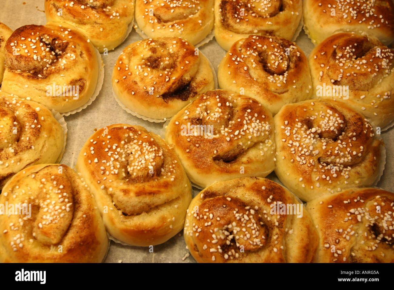 Cinnamon buns Stock Photo