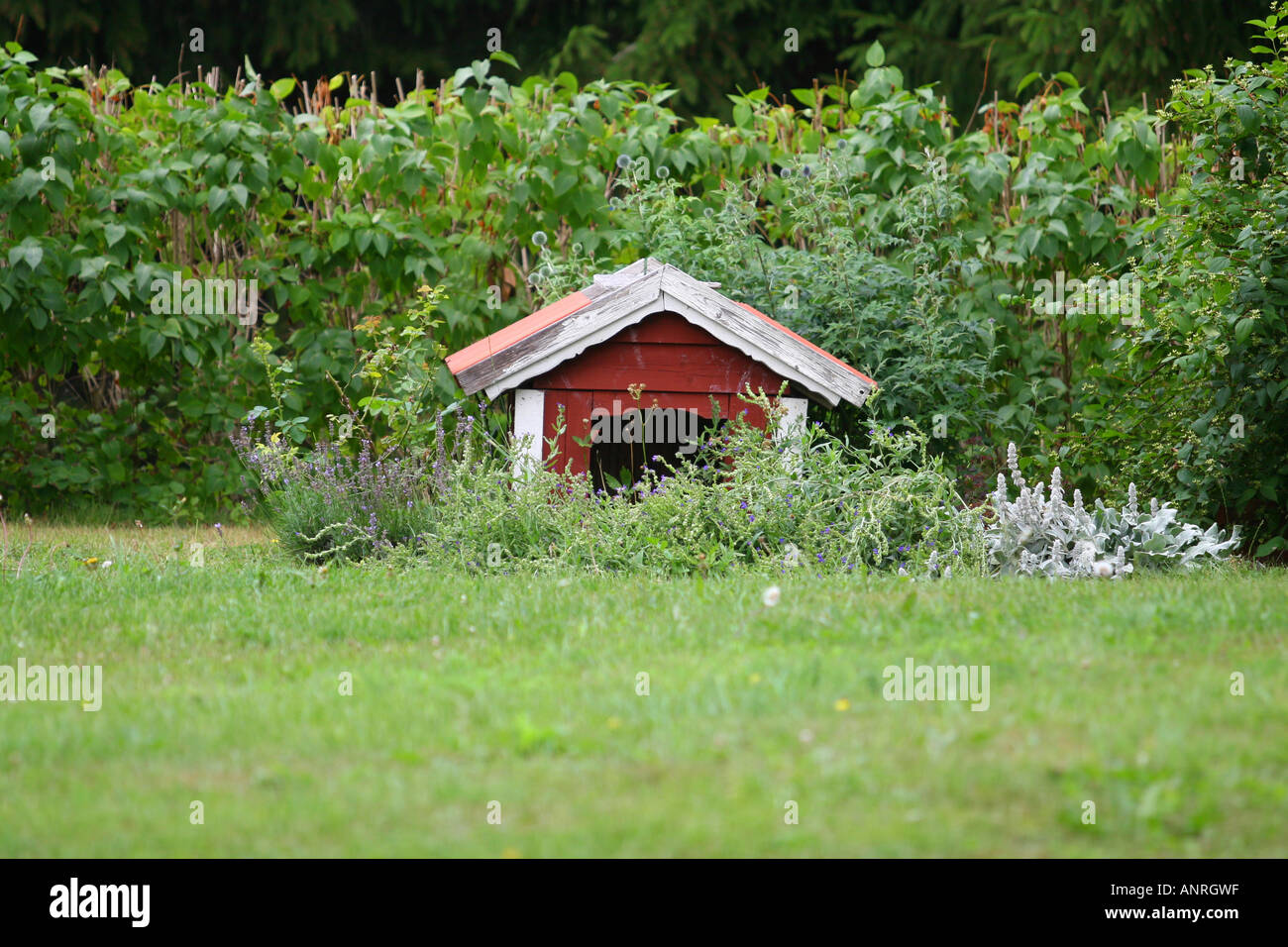 Doghouse in the garden Stock Photo