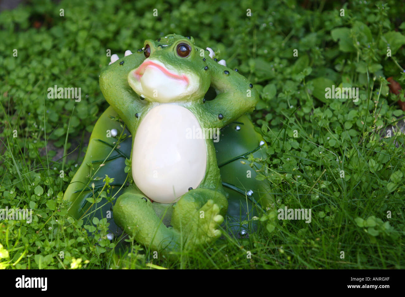 Frog lie in the grass Stock Photo