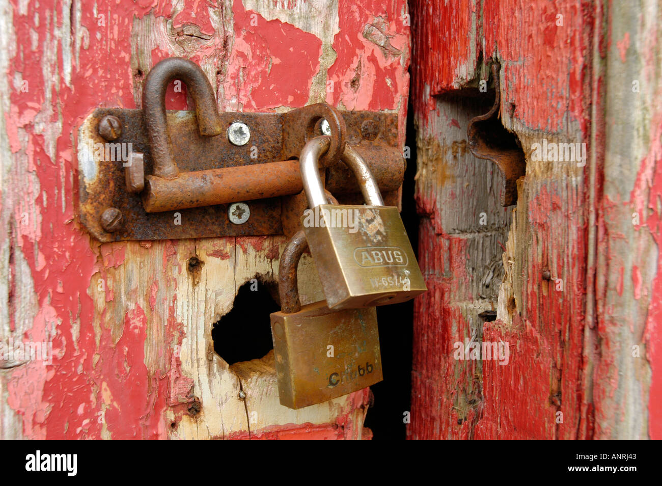 padlock and hasp and staple to secure red painted shed door Stock Photo