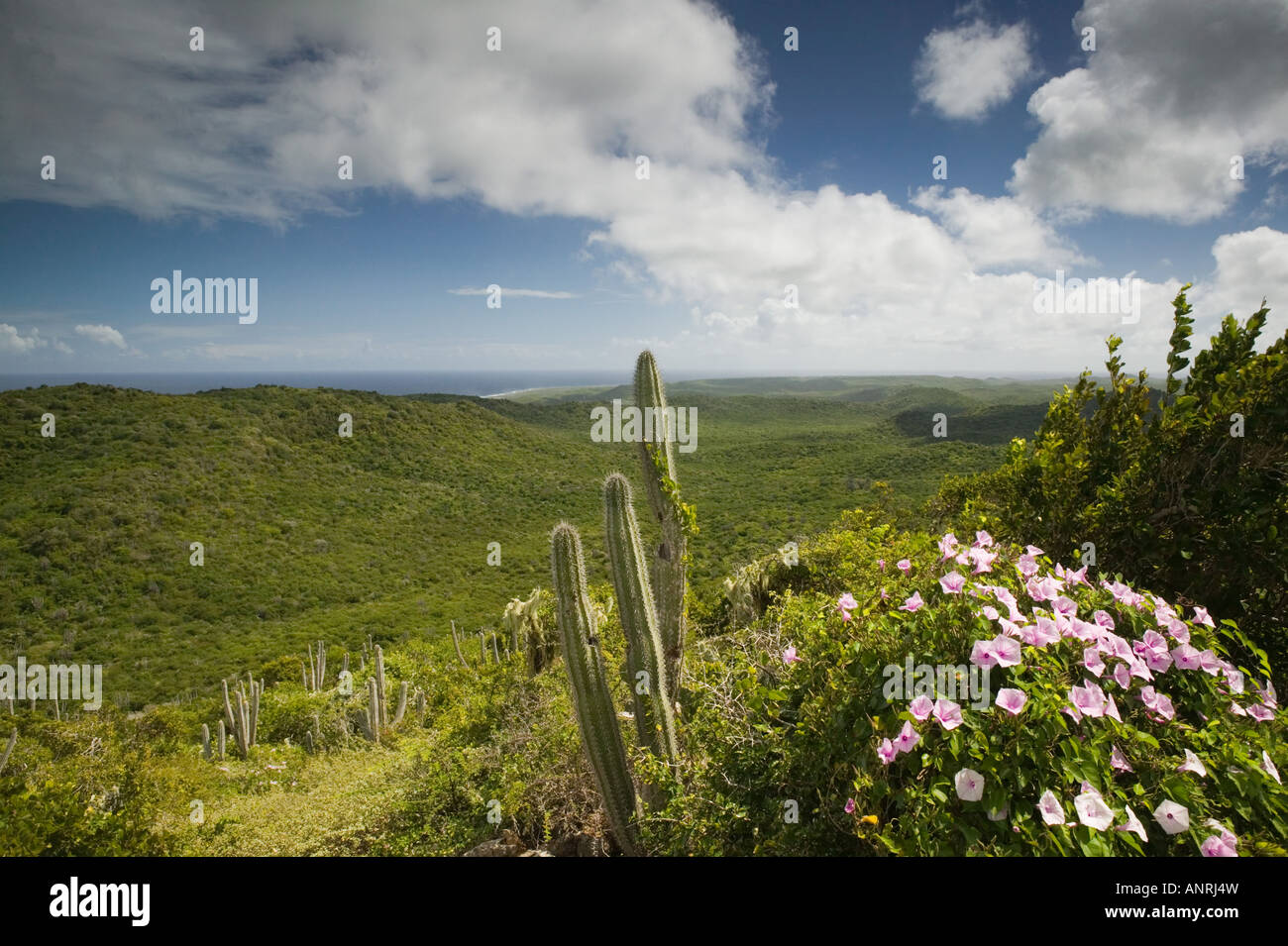 ABC Islands, CURACAO, Northern Curacao Christoffel National Park, View