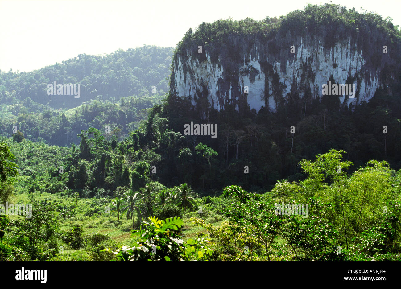 Philippines Palawan marble outcrop near Sabang Stock Photo Alamy