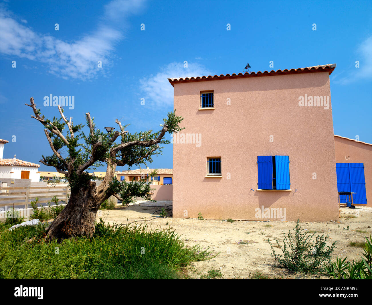 Port Barcares Aude France Meditteranean House with Few Small Windows and Old Olive Tree New Home Development Stock Photo