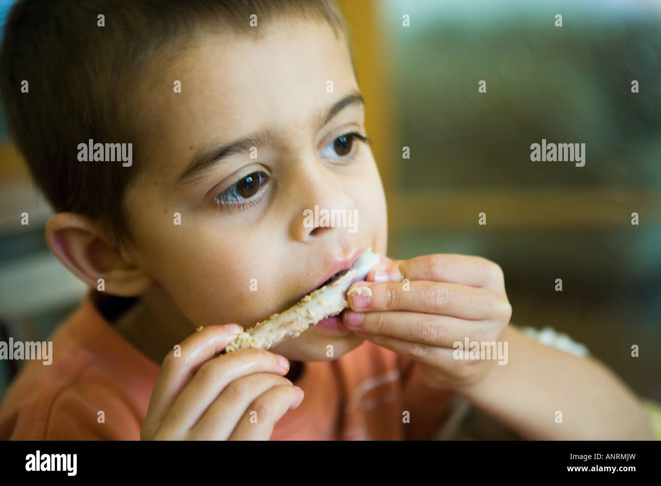 Eating chicken bones Stock Photo Alamy