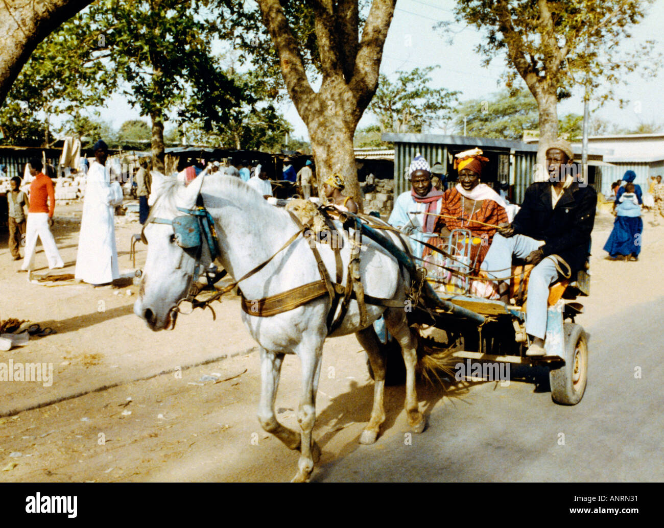 Senegal Horse And Carriage Local Life Stock Photo