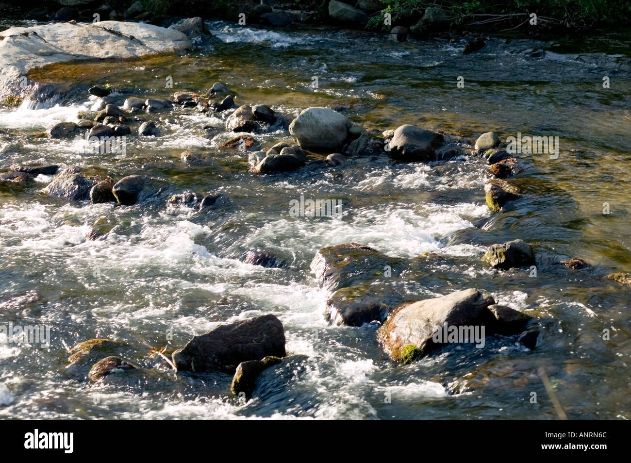 Bat cave north carolina hires stock photography and images Alamy