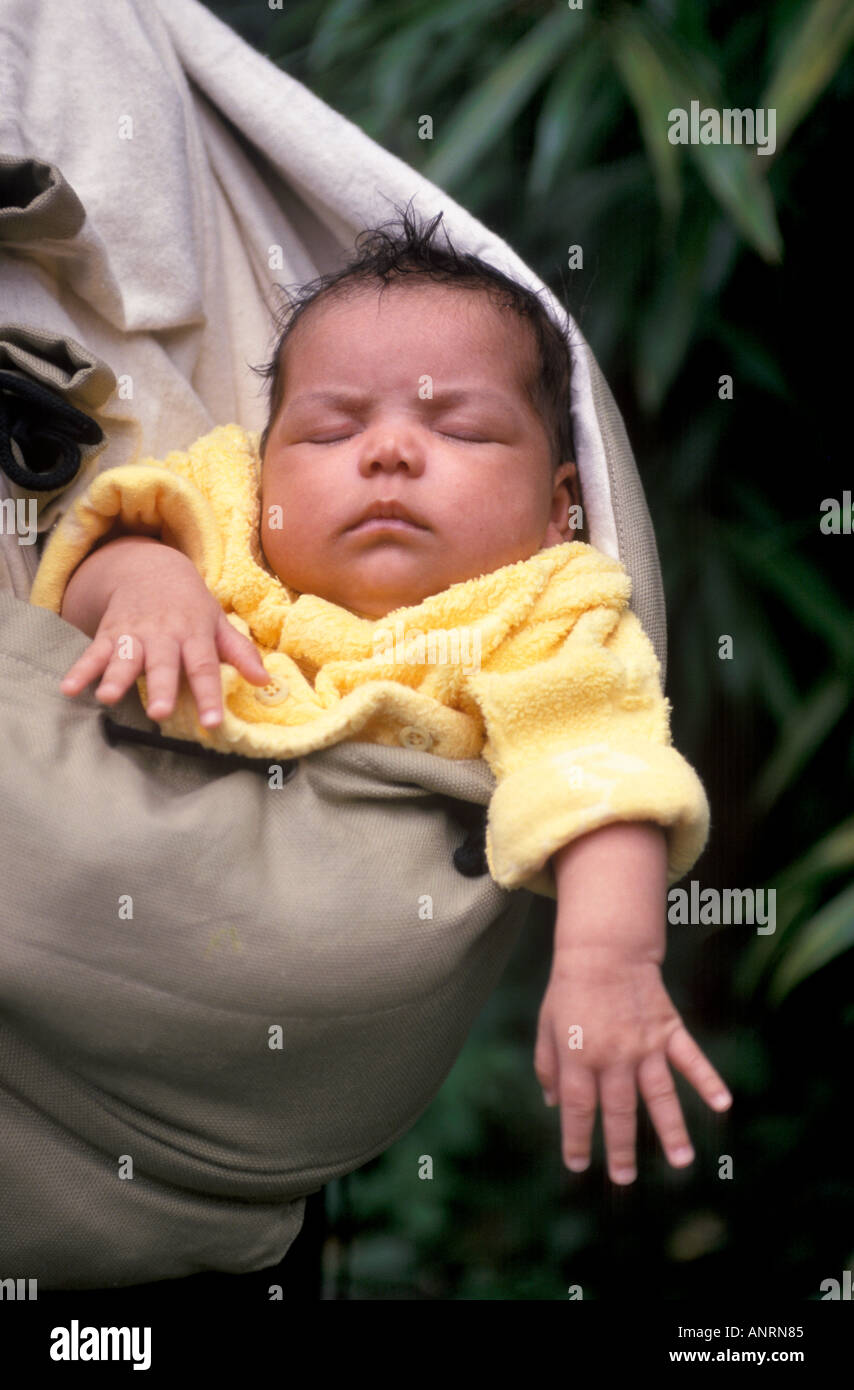Baby sleeping in a carrier bag Stock Photo Alamy