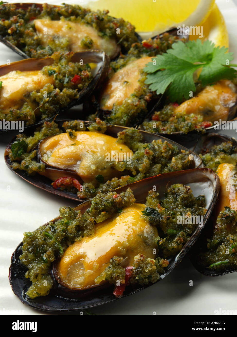 Mussels half shell gourmet seafood editorial food Stock Photo Alamy
