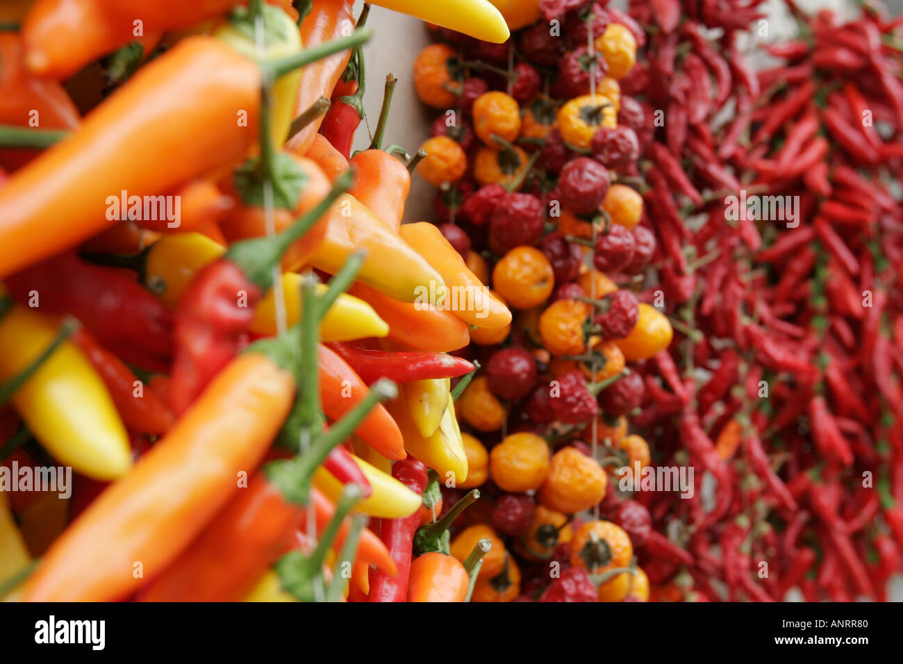 Nahuatl Chilli High Resolution Stock Photography and Images - Alamy