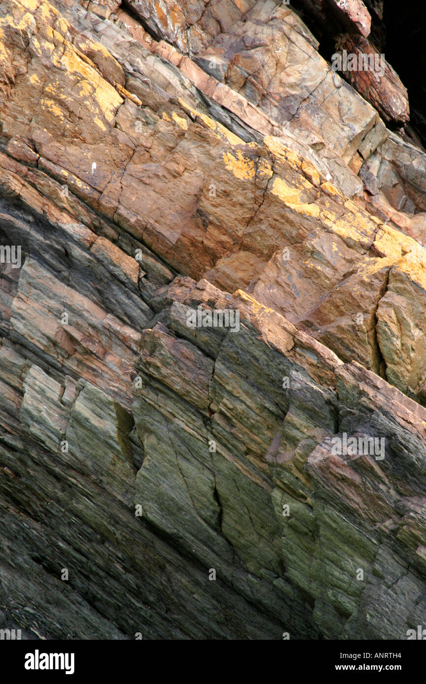 Rock strata at Combe Martin, North Devon, England, UK Stock Photo - Alamy