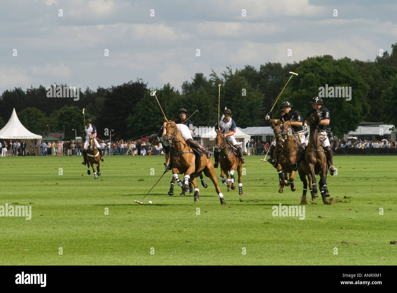 Polo horses Cartier International Polo at the Guards Club Smiths Lawn Windsor Great Park Egham Surrey England 2000s 2006 HOMER SYKES Stock Photo