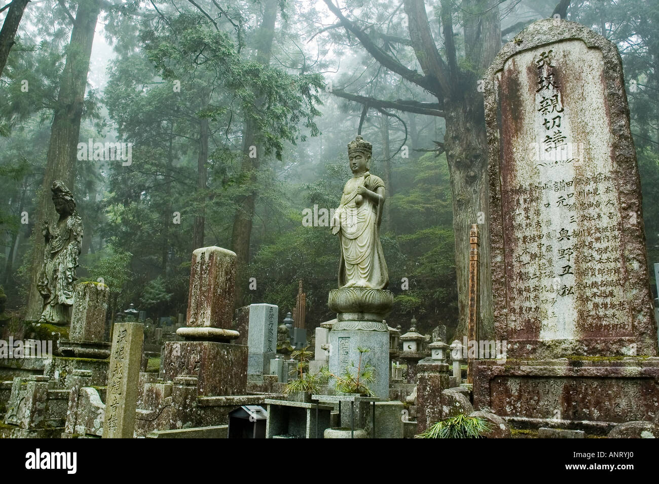 The forest graveyard at Okunoin temple on Koyasan Japan Stock Photo