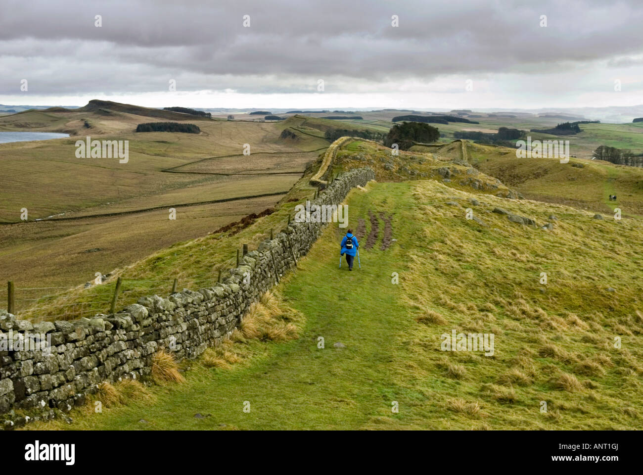 Hadrians Wall, near Housesteads Stock Photo Alamy