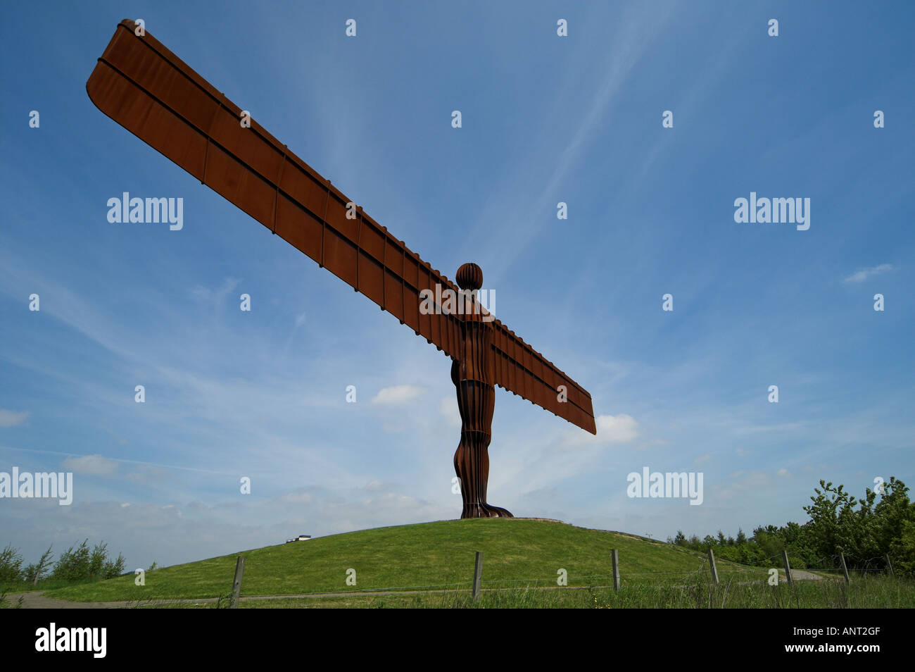 Angel of the North designed by Antony Gormley Gateshead Tyne and Wear ...