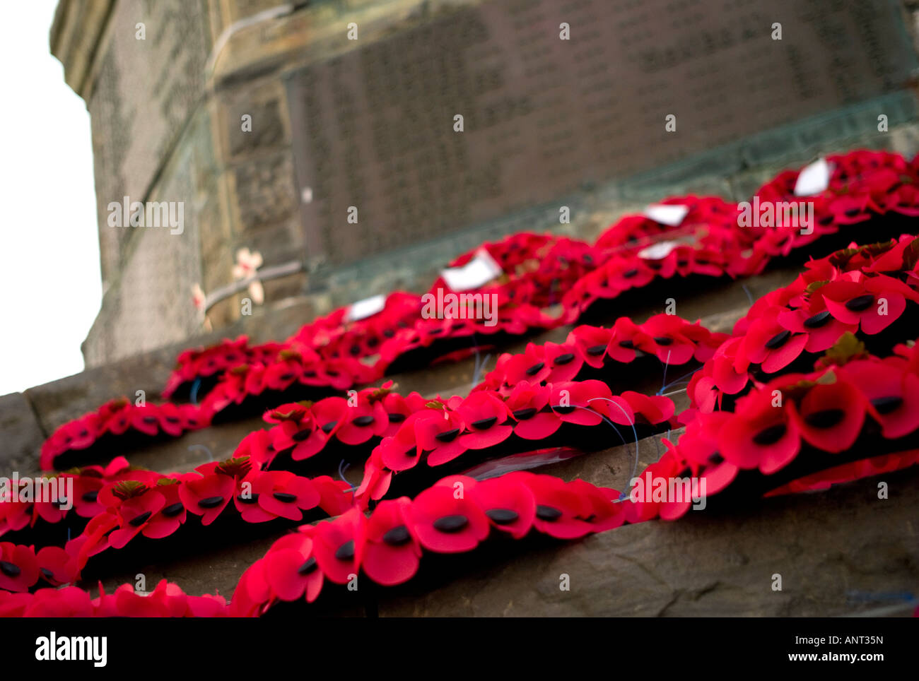 red poppy wreathes laid on Aberystwyth war memorial, remembrance day, Stock Photo