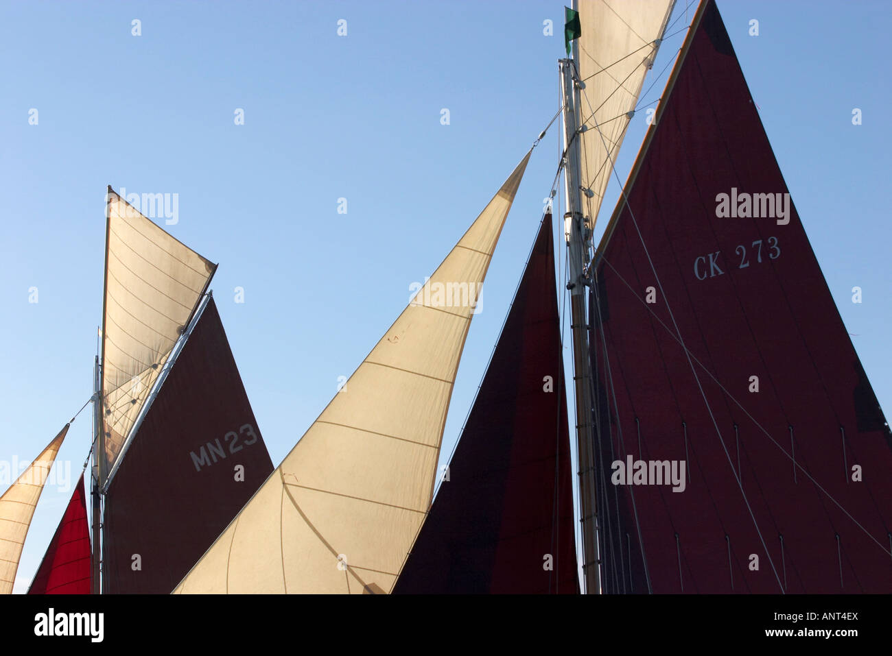 Traditional Gaff Rigged Sailing Boats Close up of Sails Stock Photo