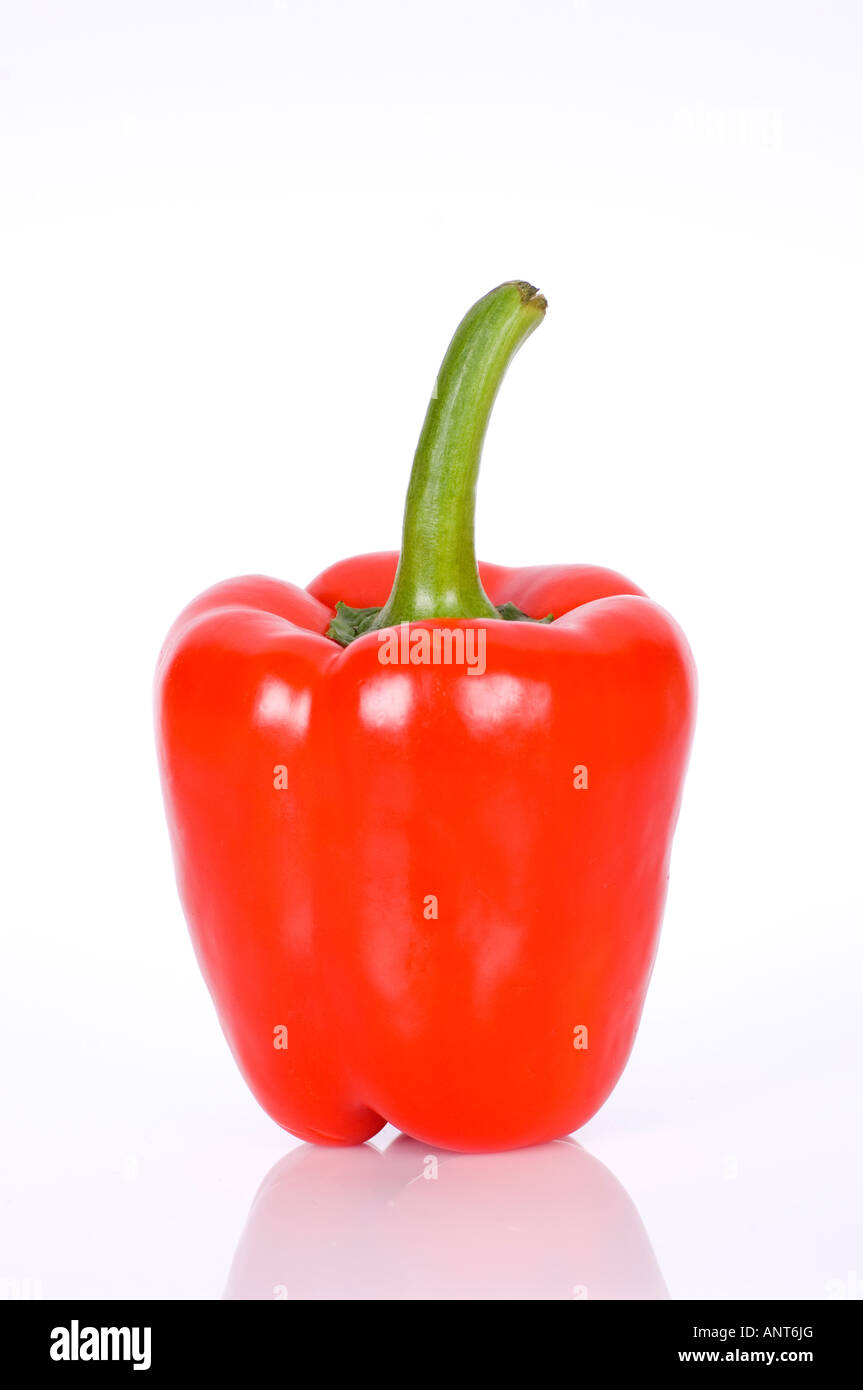 red peppers fruit genus Capsicum Solanaceae Stock Photo Alamy