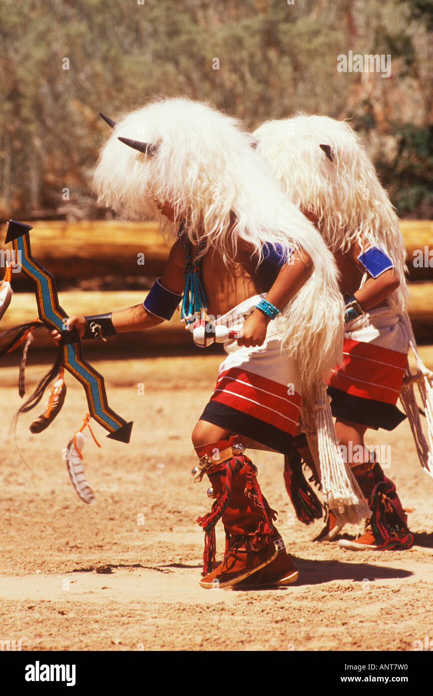American Indian young Zuni Indian White Buffalo Dancers Gallup Inter