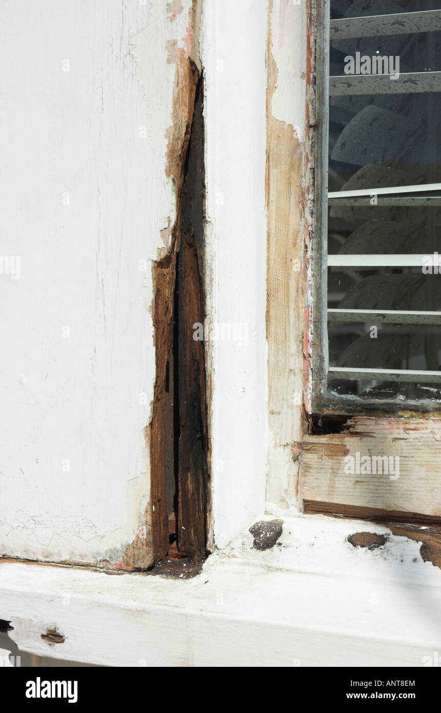 Repairing old timber window frames and weatherboards Stock Photo Alamy