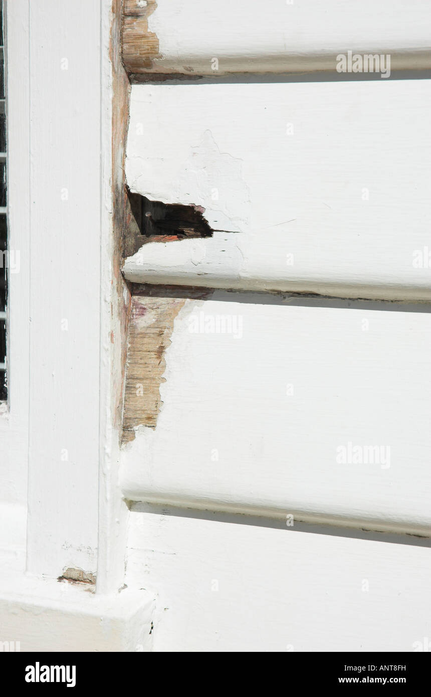 Repairing old timber window frames and weatherboards Stock Photo Alamy