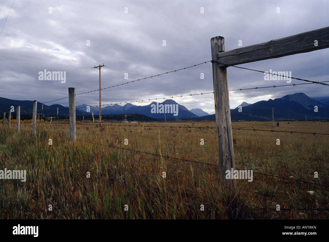 Calgary foothills hi-res stock photography and images - Alamy