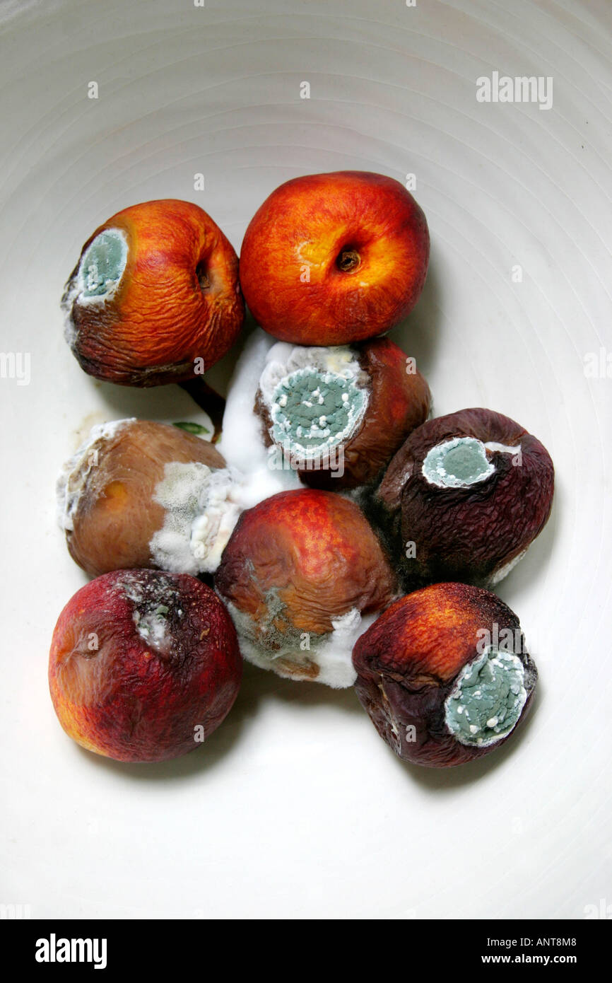 Mouldy Fruit High Resolution Stock Photography and Images Alamy