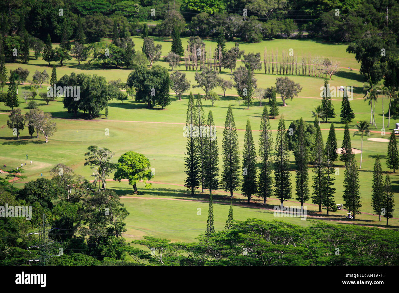 Aerial view of golf course on Oahu Hawaii Stock Photo Alamy