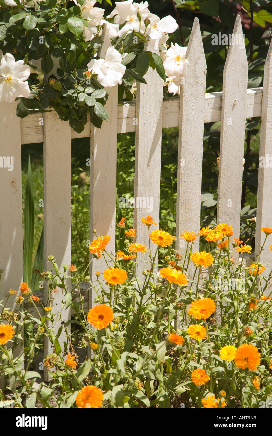 White picket fence hi-res stock photography and images - Alamy