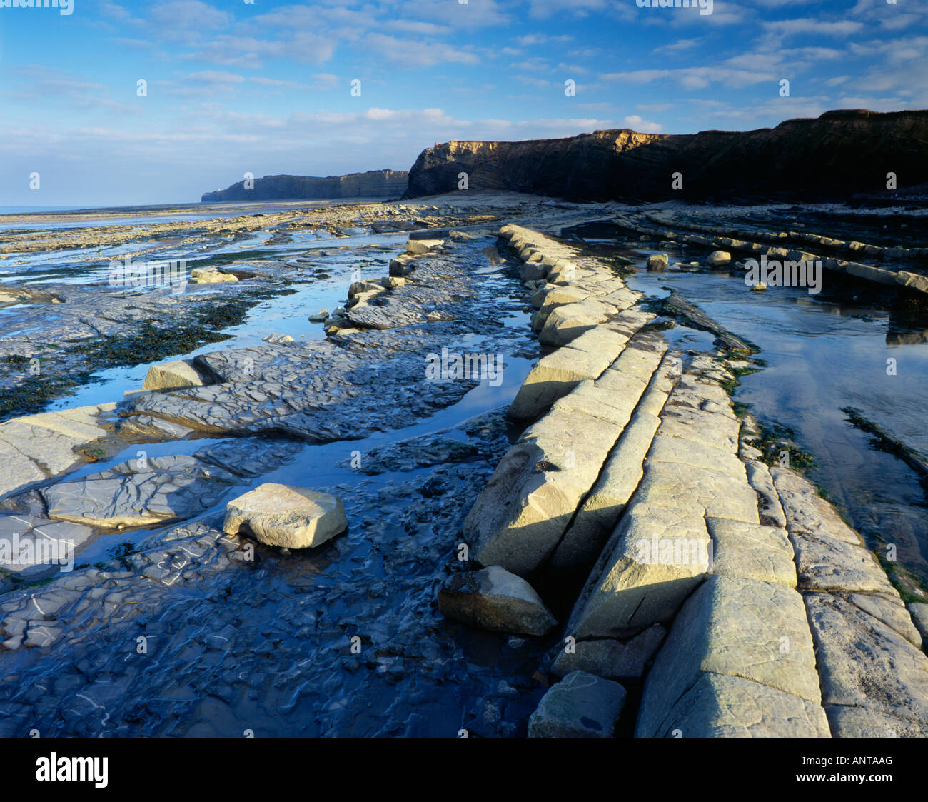 The rocky beach at Kilve at Bridgwater Bay in the Bristol Channel. Kilve, Somerset. Stock Photo