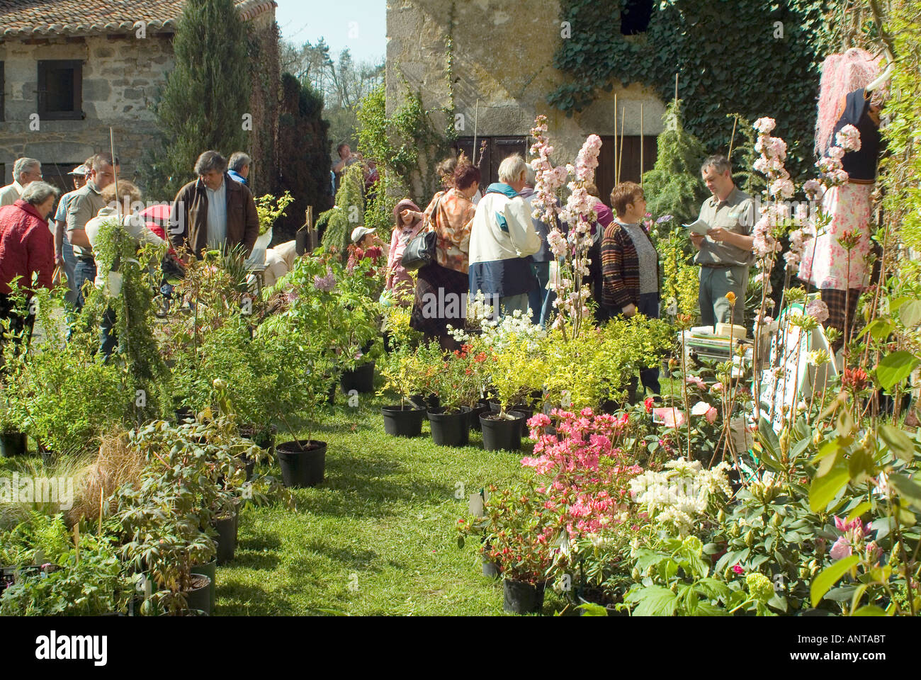 people enjoying buying plants at a garden show in a the grounds of a chateau central france Stock Photo