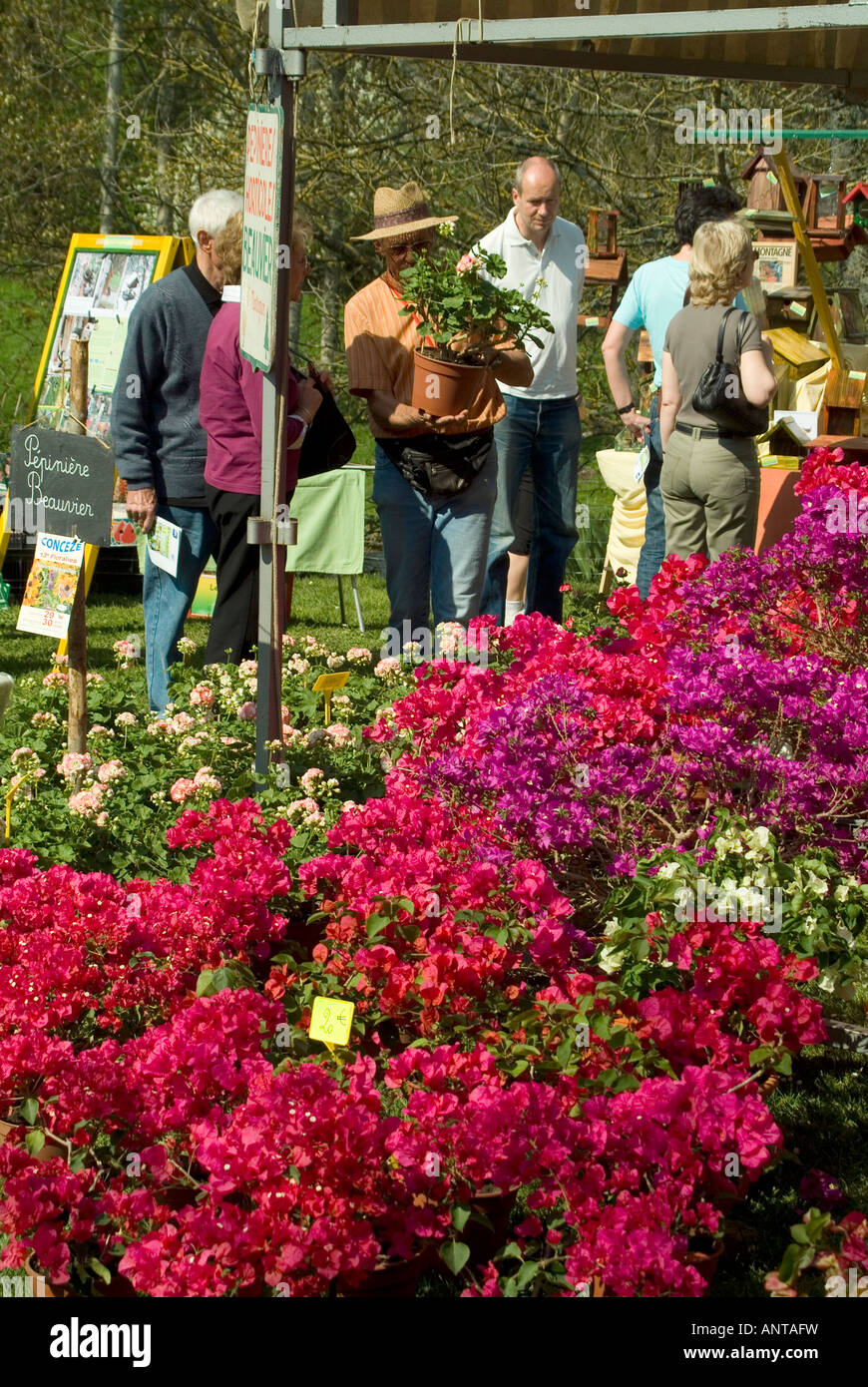 people enjoying looking buying plants at a garden show in a the grounds of a chateau in central france Stock Photo
