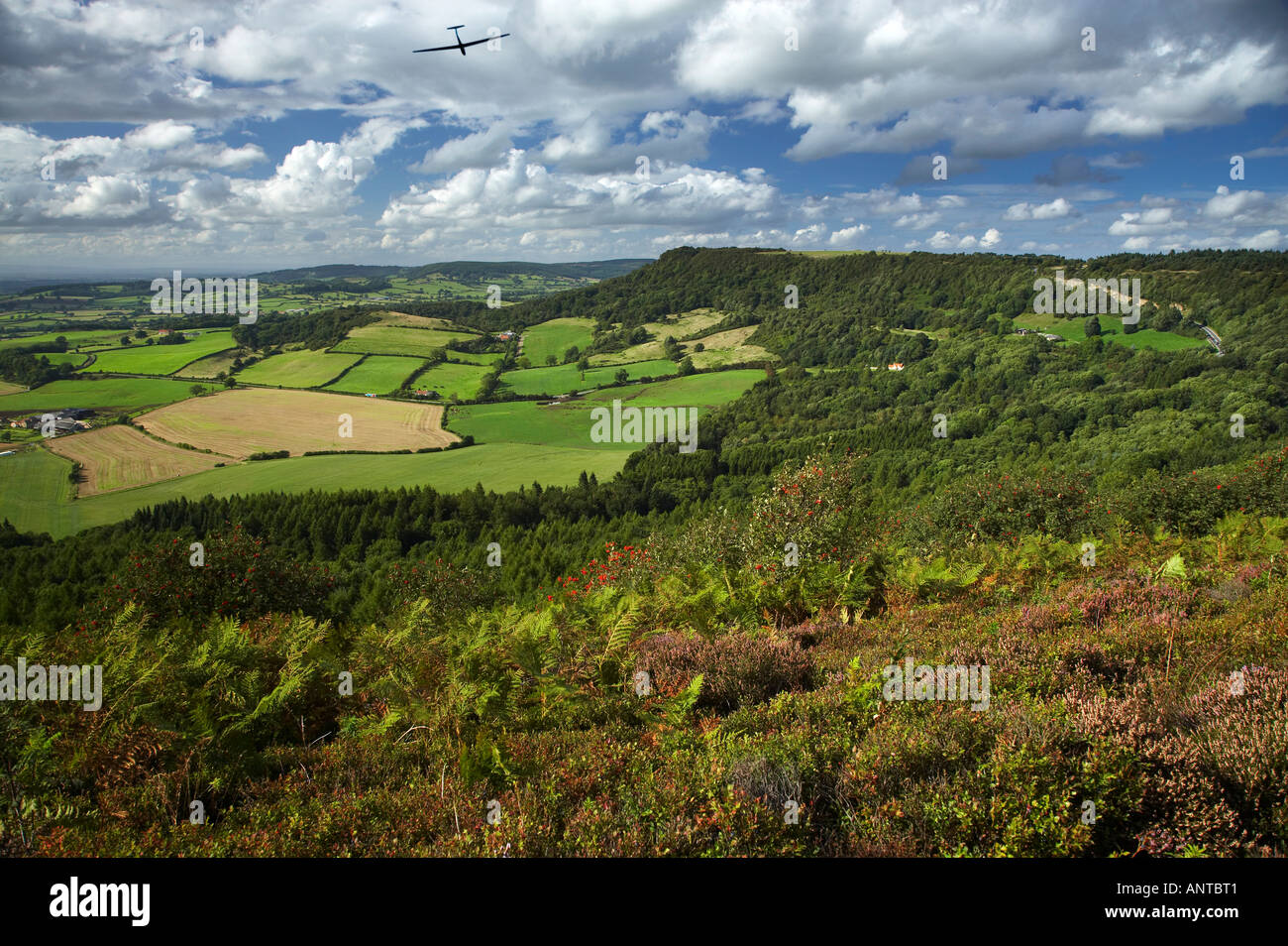 View over Vale of Mowbray from Sutton Bank North York Moors Yorkshire ...