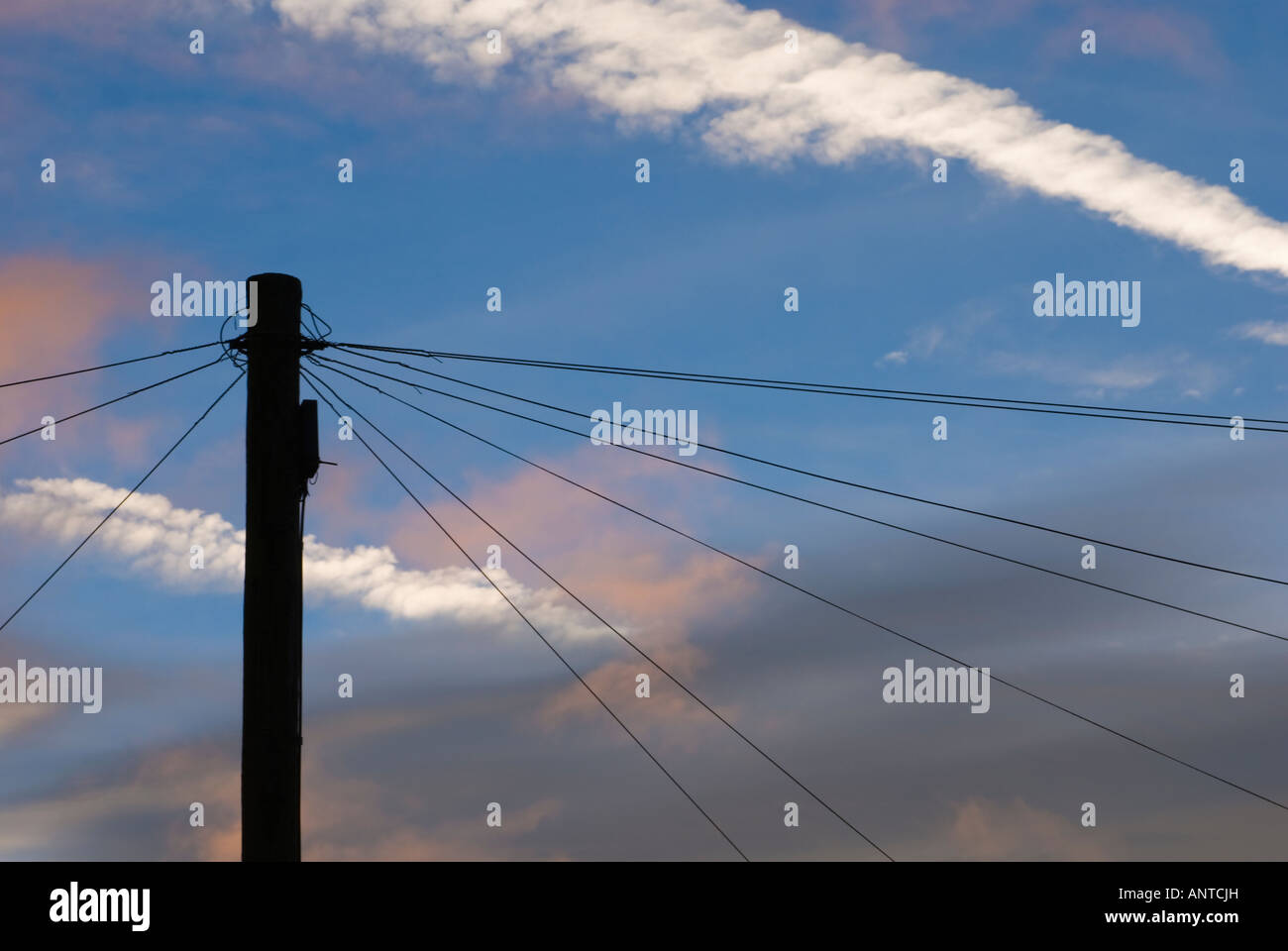 Telephone cables and telegraph pole silhouetted against a blue sky and jet trails Stock Photo