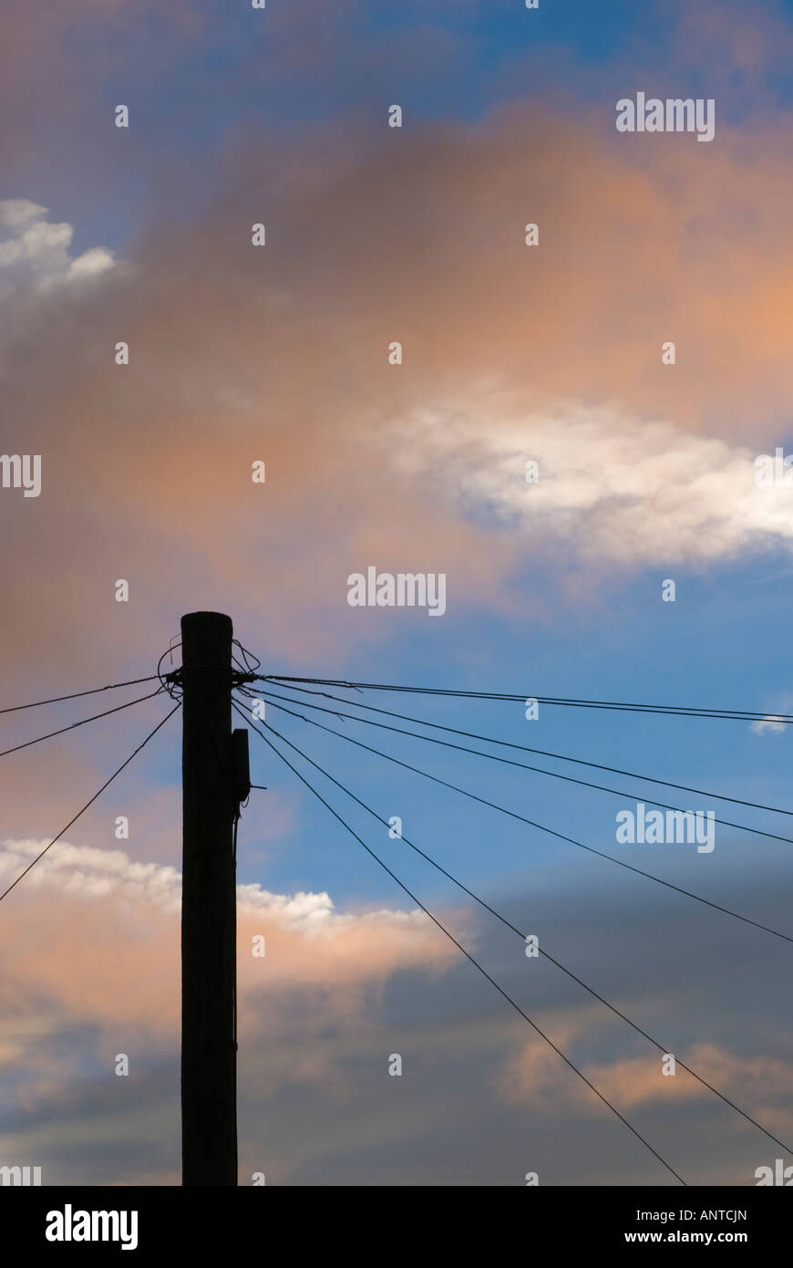 Telephone cables and telegraph pole silhouetted against a blue sky and jet trails Stock Photo