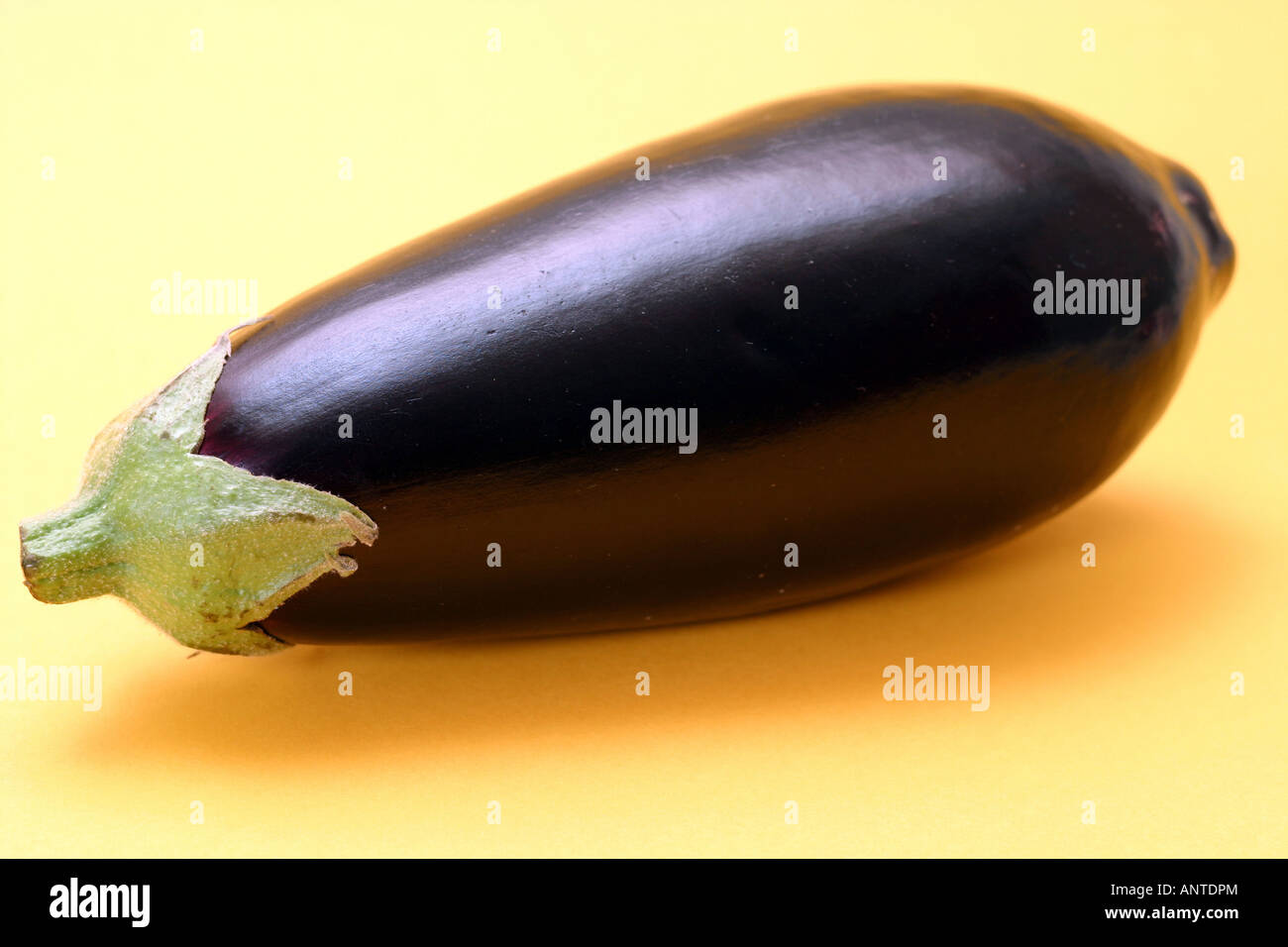 eggplant aubergine brinjal Stock Photo Alamy