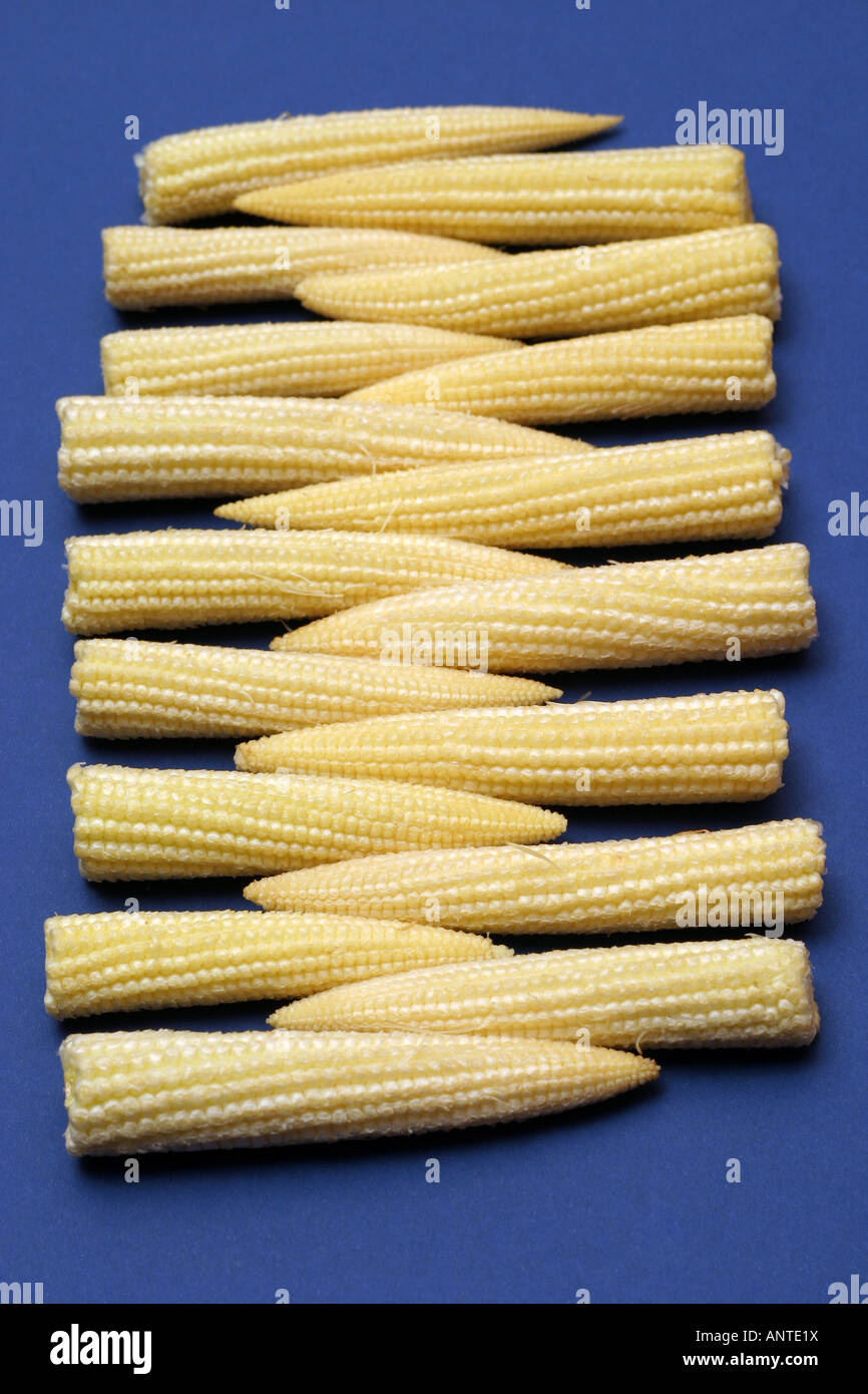 baby sweetcorn in neat row Stock Photo