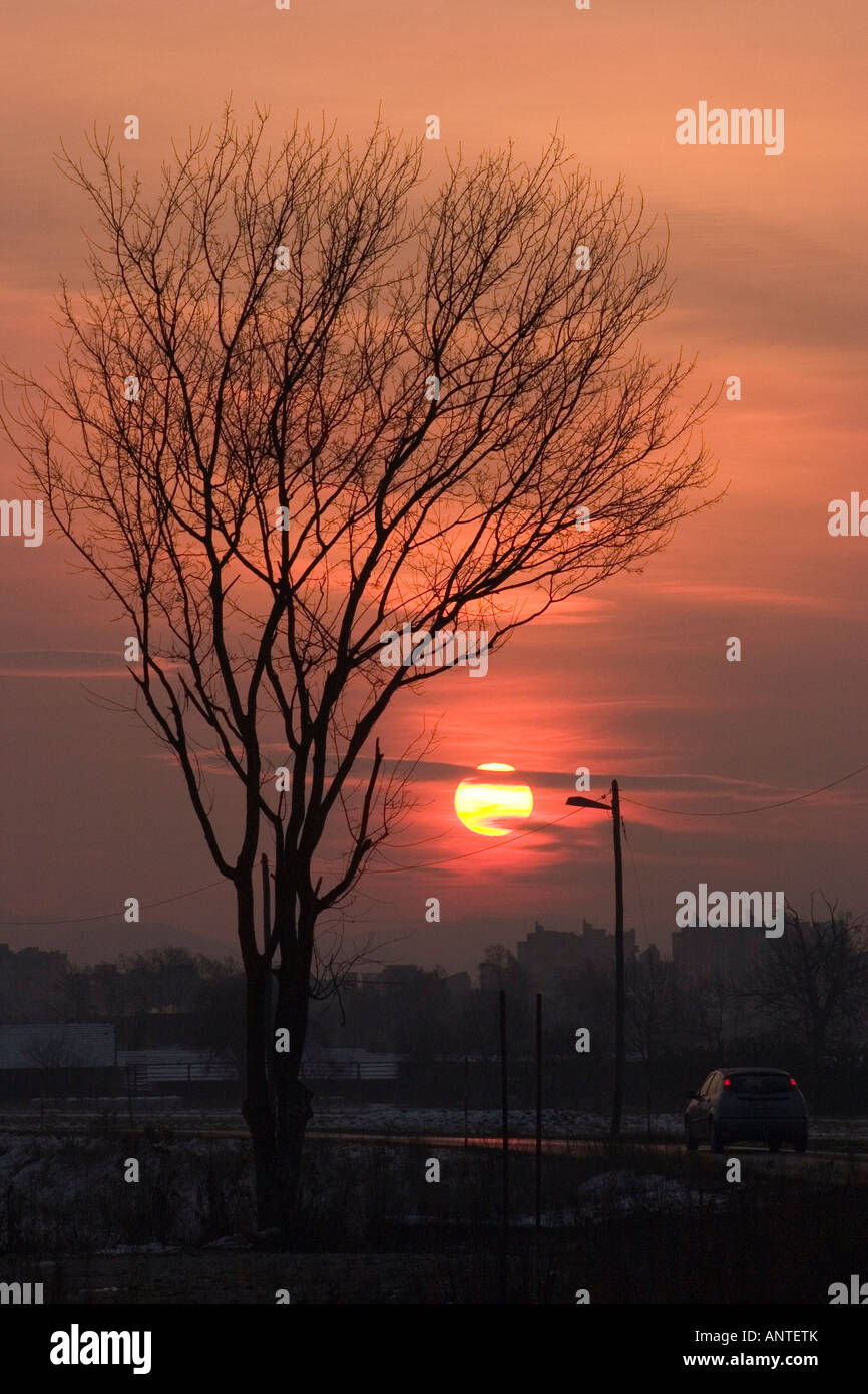 Sunrise with silhouette of tree Stock Photo - Alamy