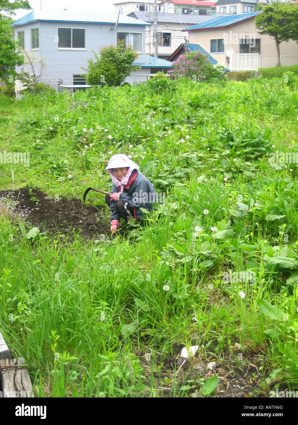 Japanese peasant hires stock photography and images Alamy