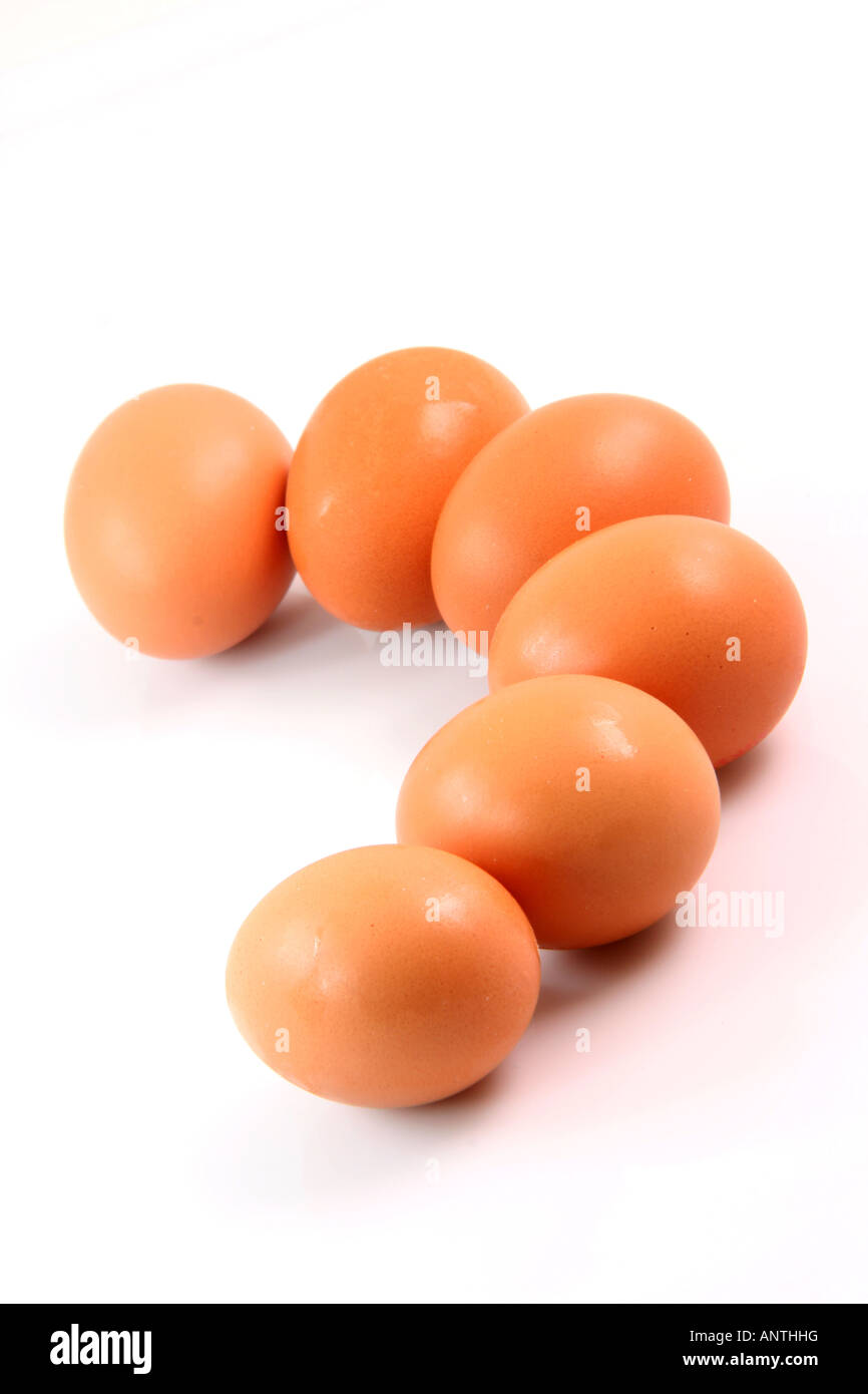 six fresh brown eggs with copy space in a curve isolated on white background food and